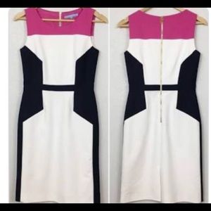 Antonio Melani Color Block Dress